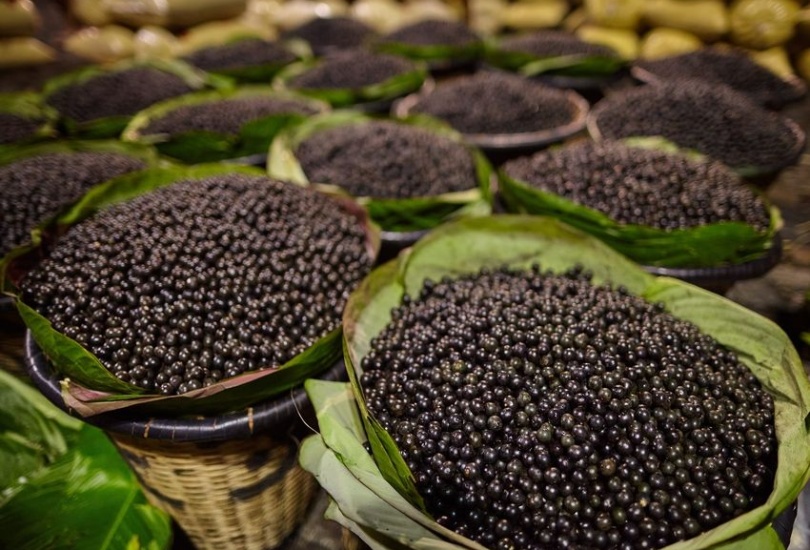 Secret power of acai berries